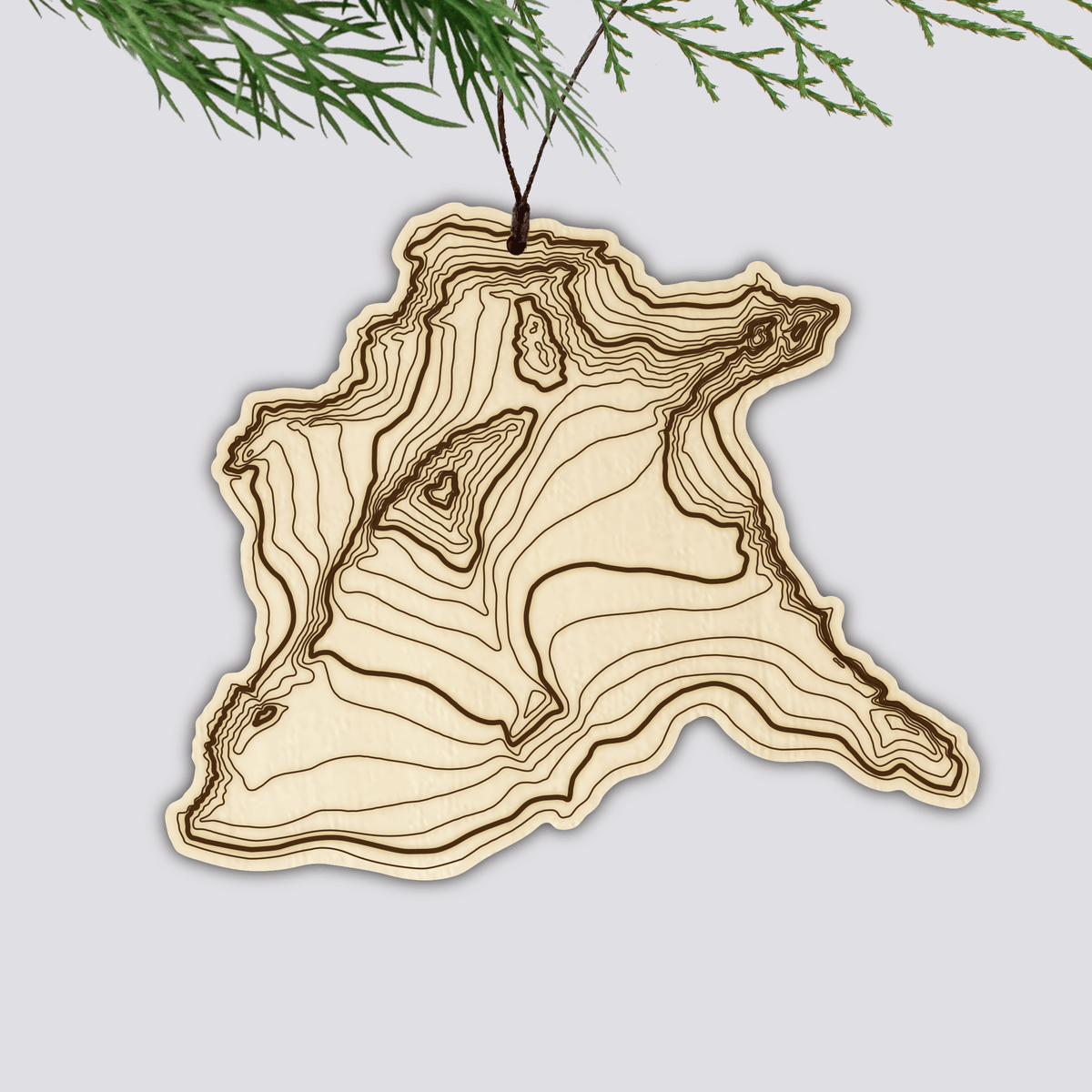 Mt Shuksan Topography Ornament