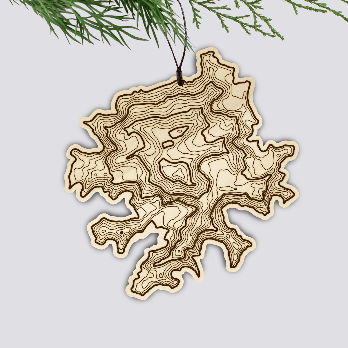 Denali Topography Ornament