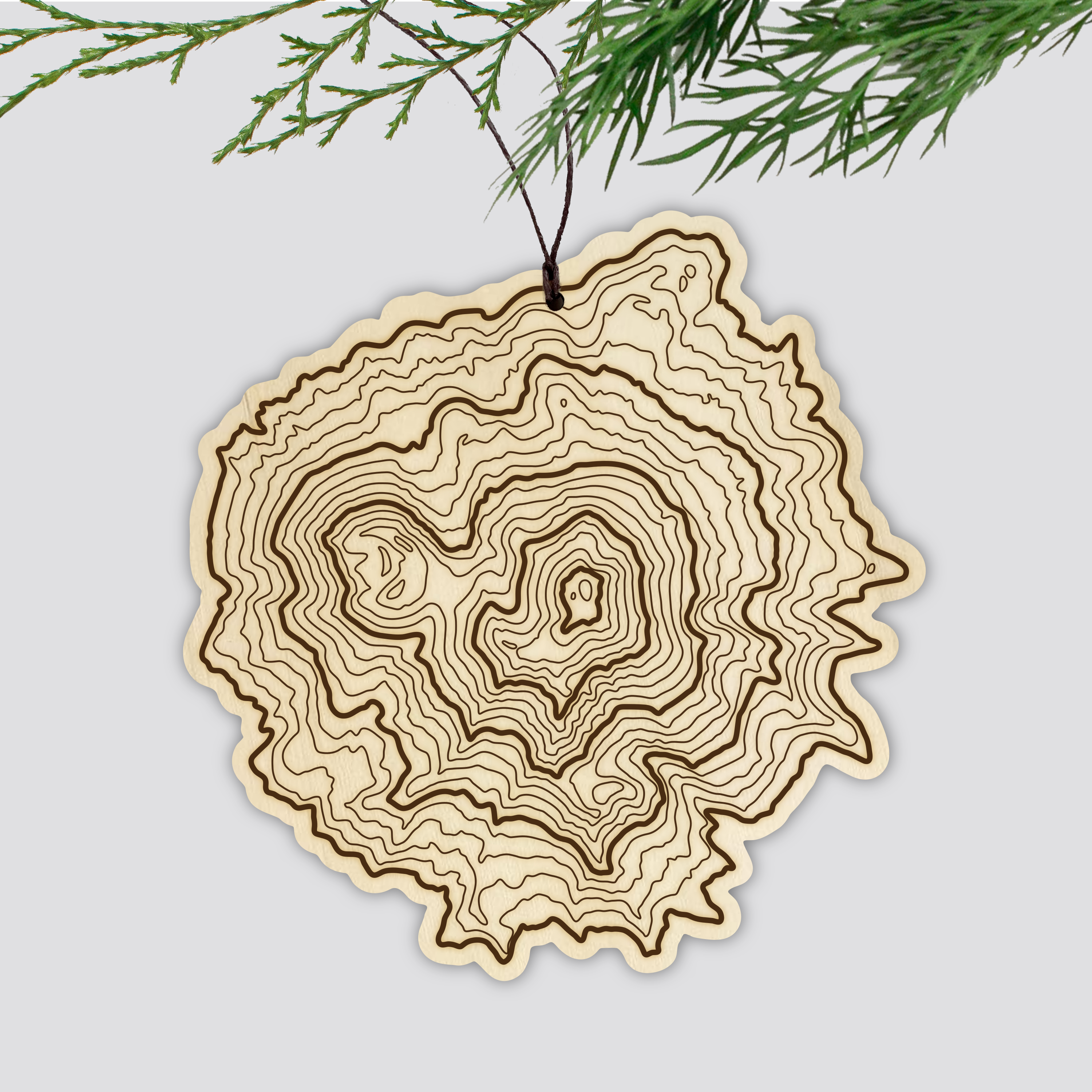 Mt Shasta Topography Ornament