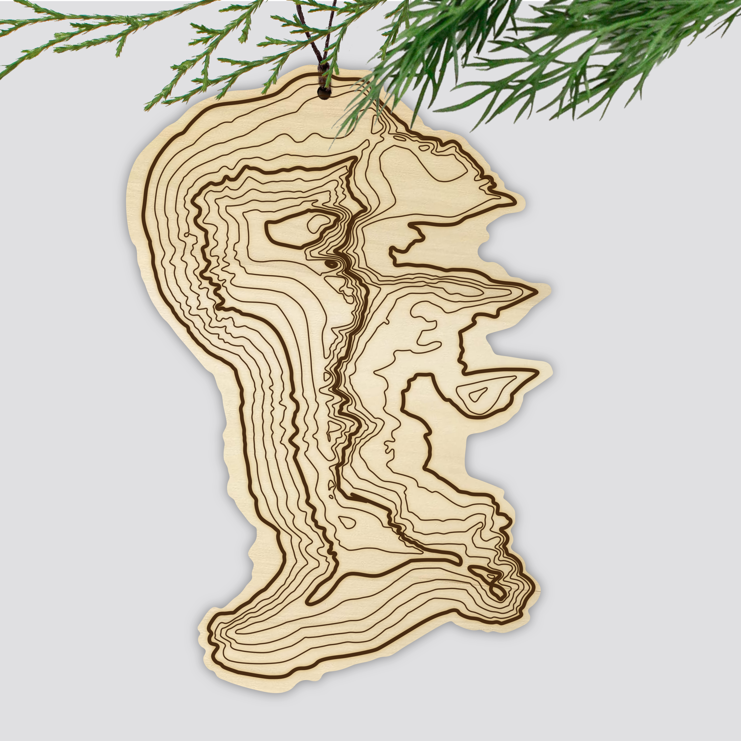 Mt Whitney Topography Ornament