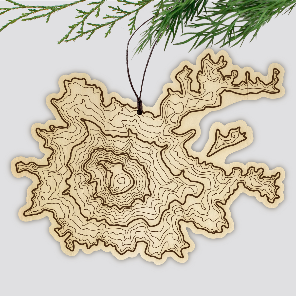 Mt Rainier Topography Ornament