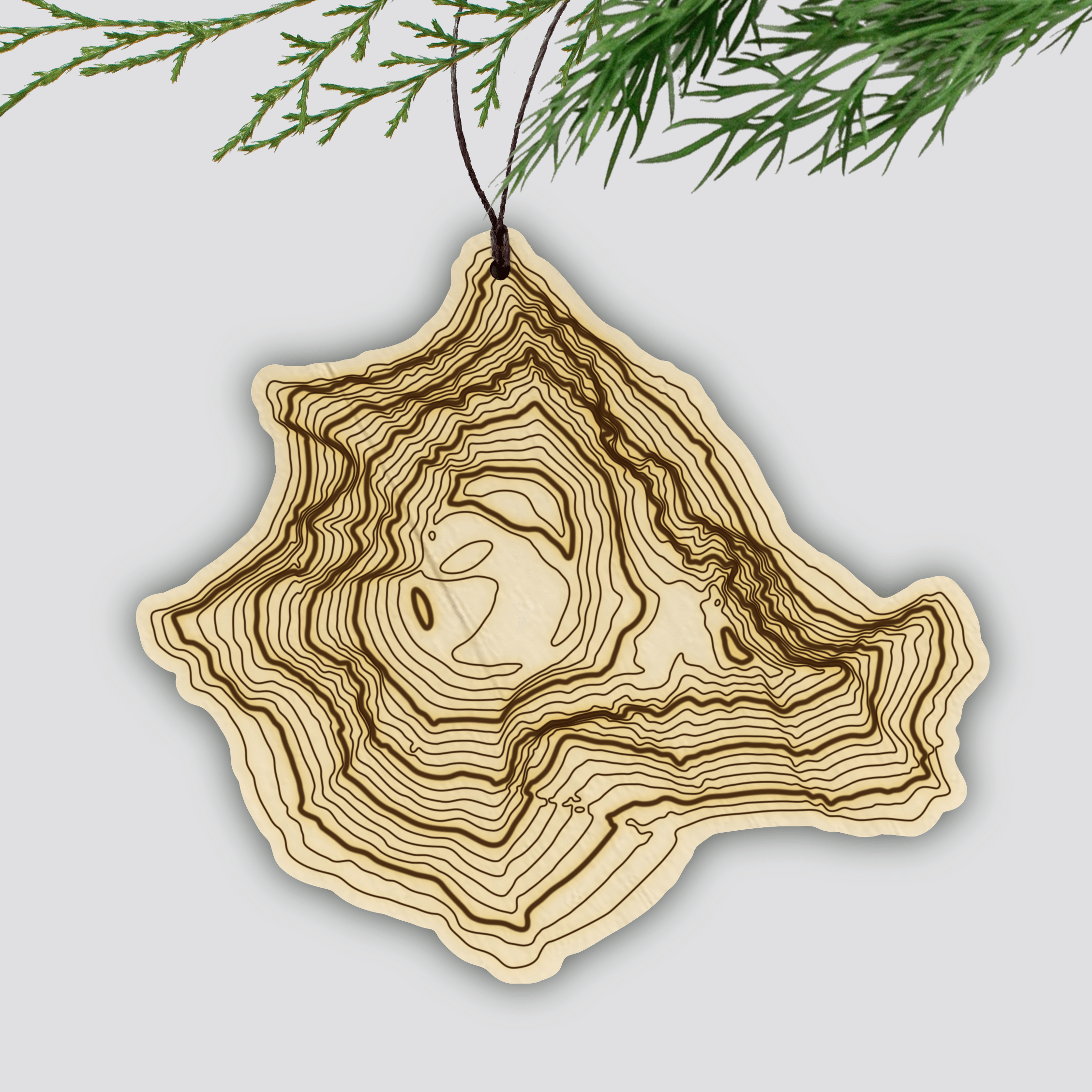 South Sister Topography Ornament