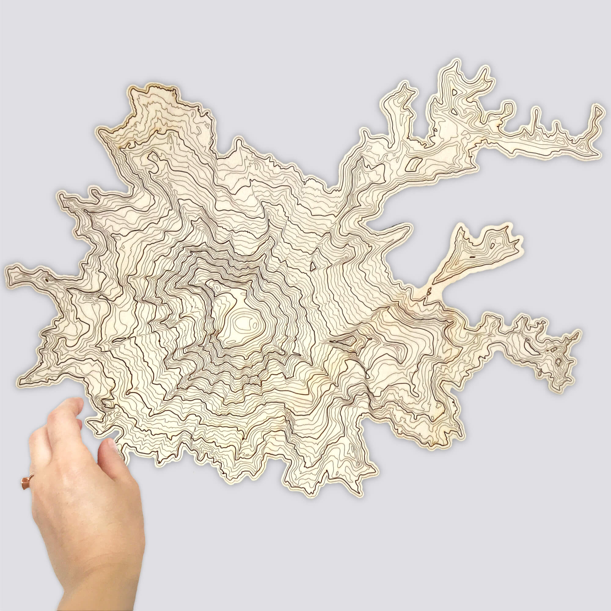 Mt Rainier Topography Wall Art