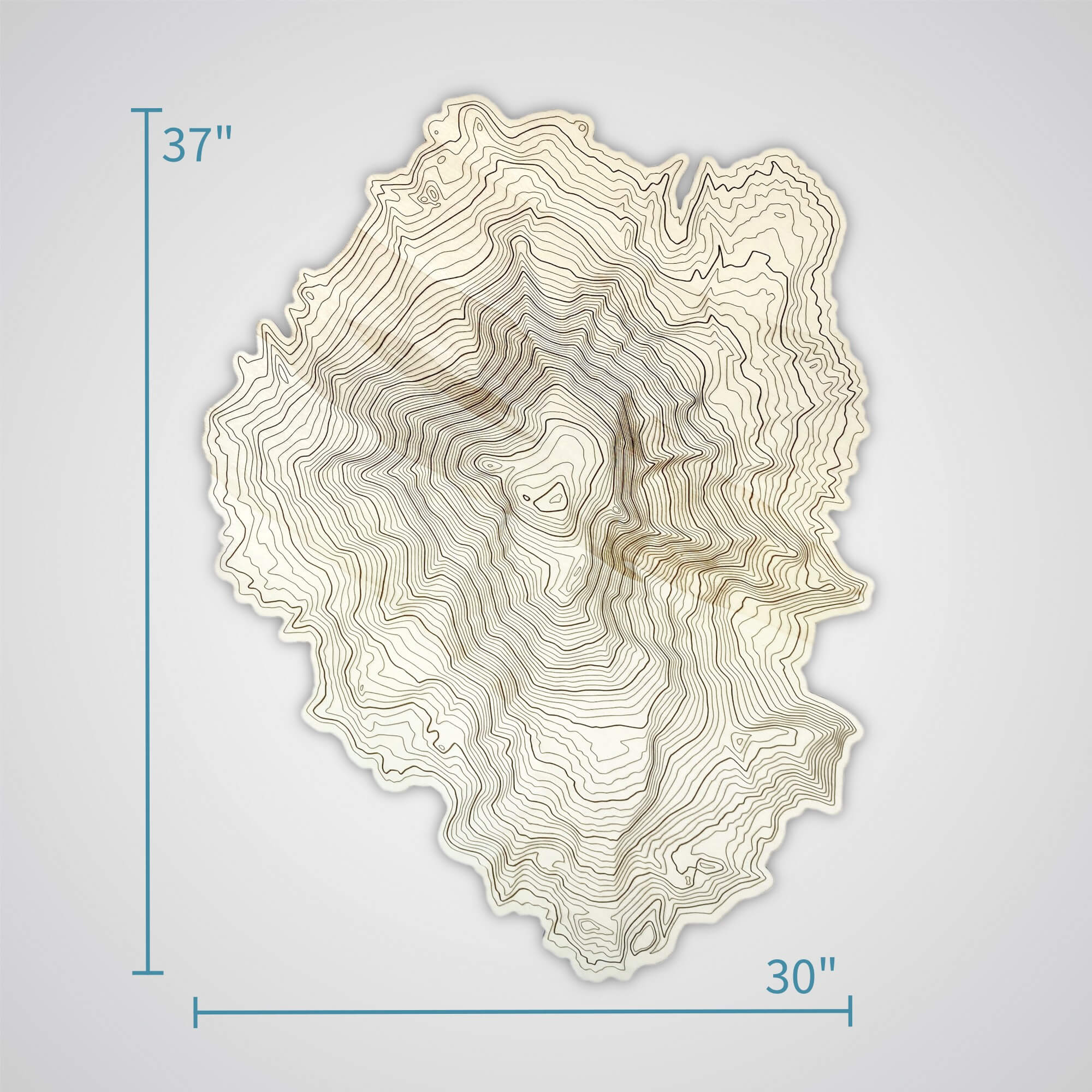 XL Mount Adams Topography Wall Art