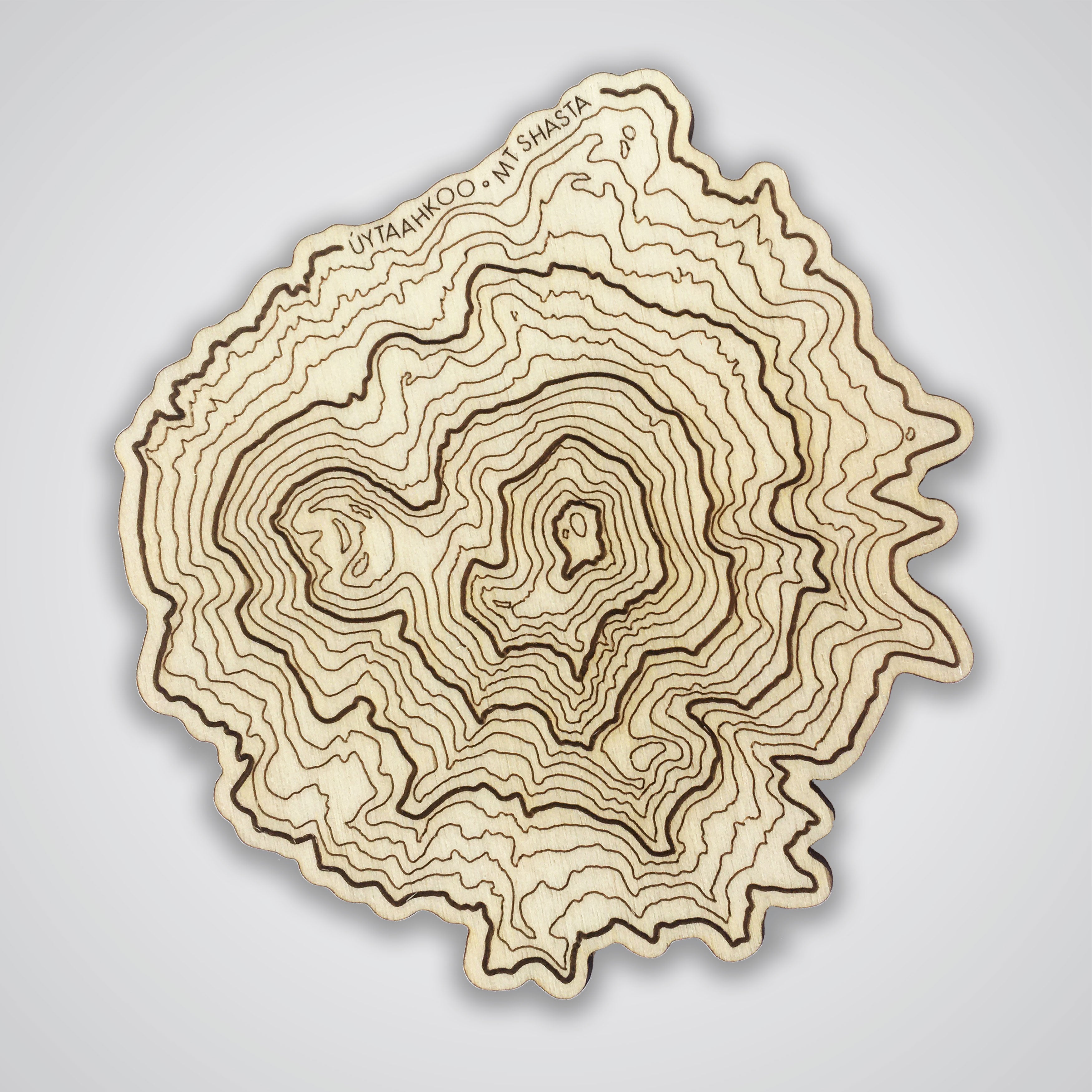 Mt Shasta Topography Coaster - Single