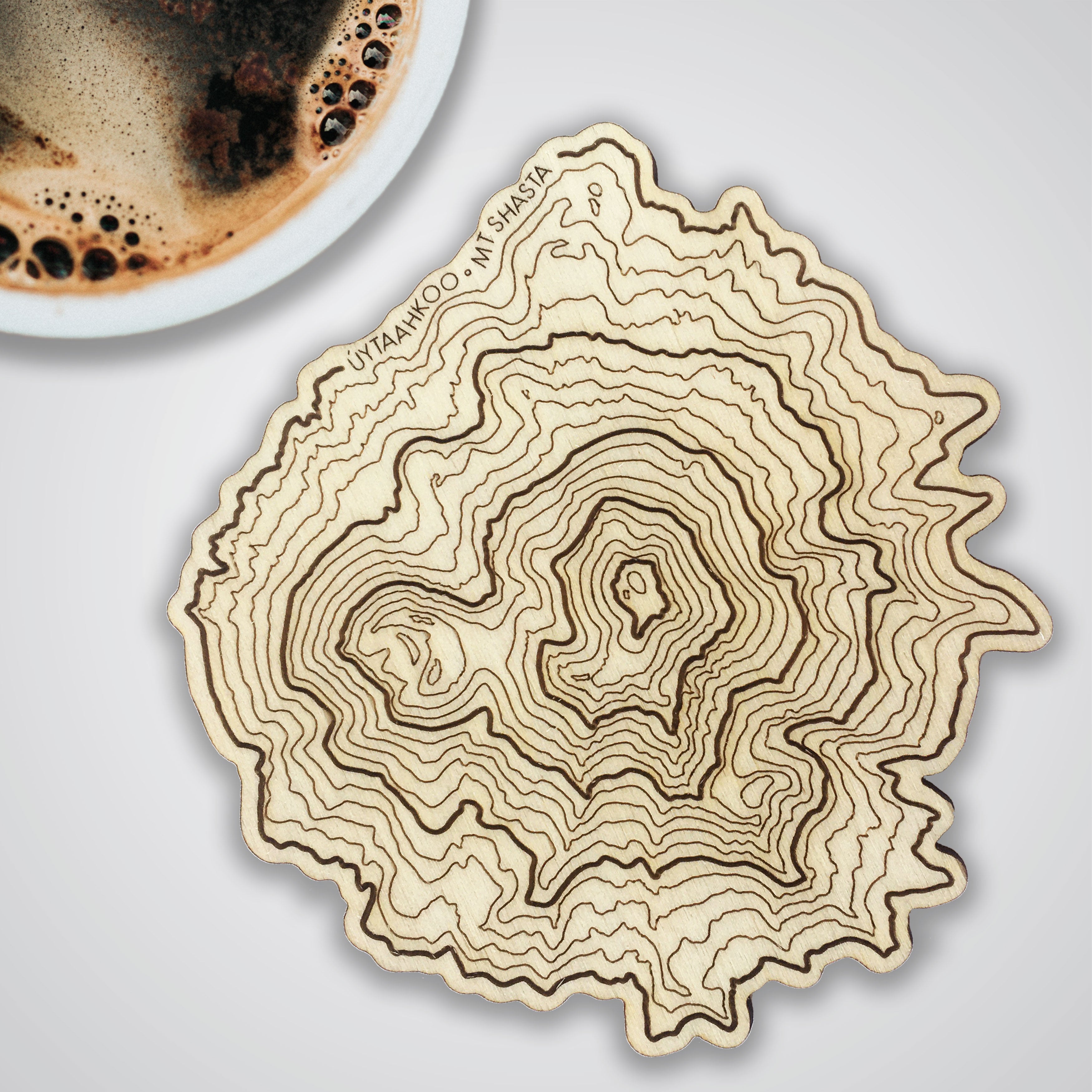 Mt Shasta Topography Coaster - Single