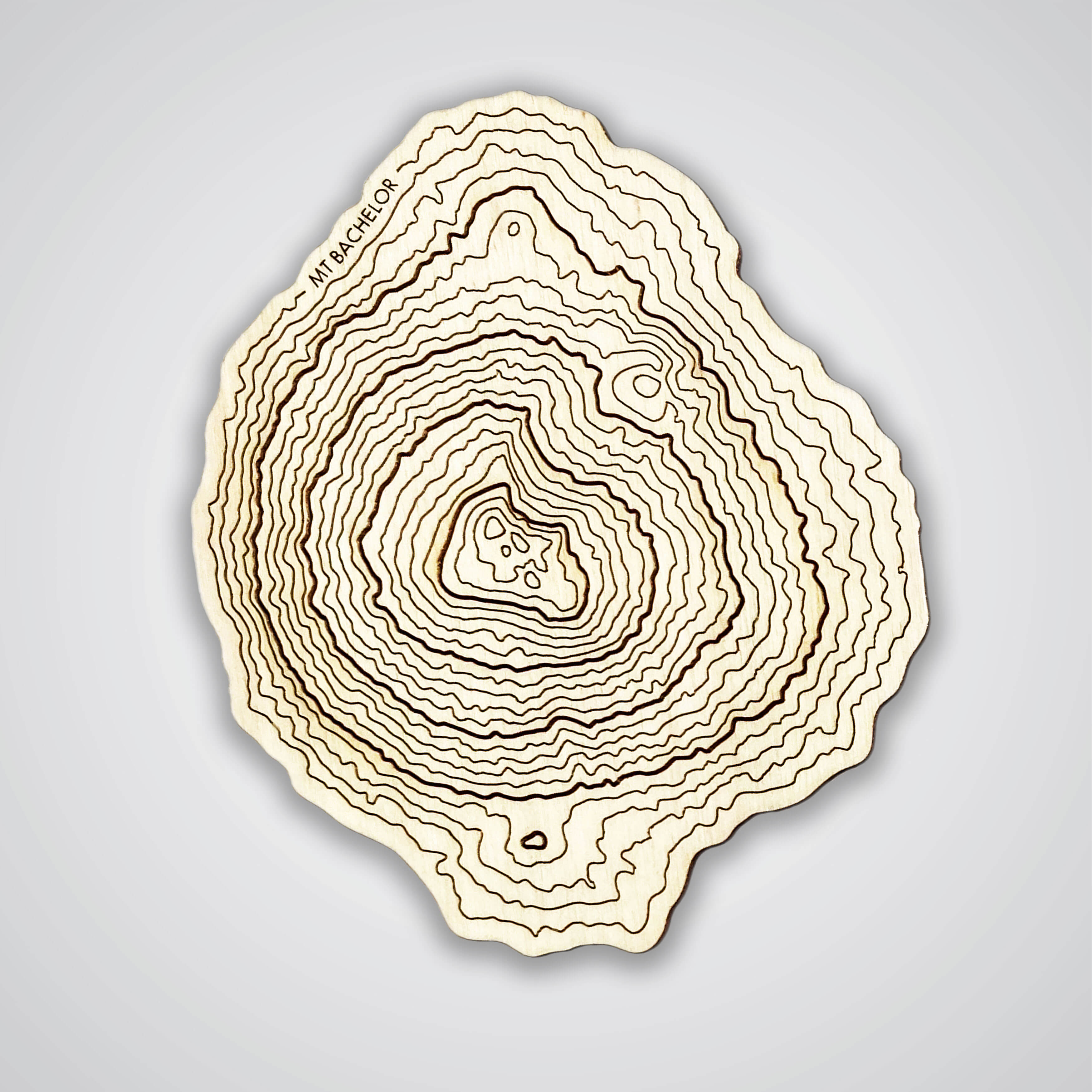 Mt Bachelor Topography Coaster - Single