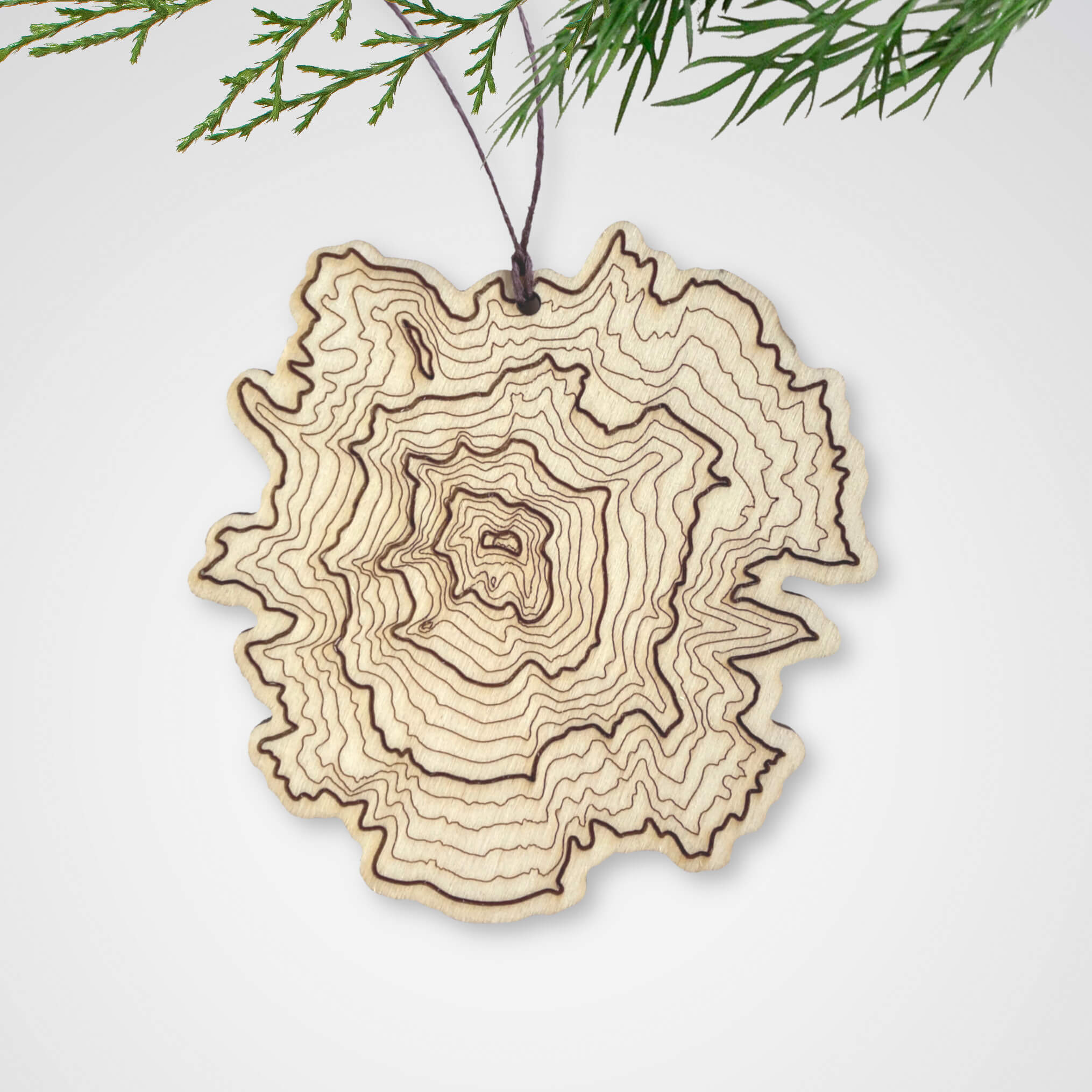 Mt Hood Topography Ornament