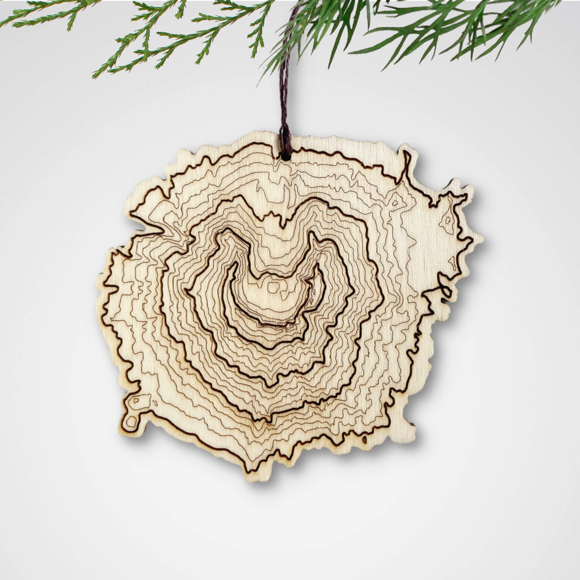 Mt St Helens Topography Ornament